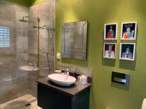 uma casa de banho verde com um lavatório e um chuveiro em Frida’s Place - Quiet in Stellenbosch Central em Stellenbosch