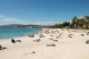 Природа поблизу ці апартаменти