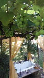 Um jardim em Espaço Holístico Chalés
