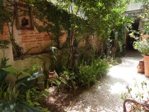 Um jardim em Zen Hotel Brasil