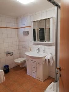 ein Badezimmer mit einem Waschbecken, einem WC und einem Spiegel in der Unterkunft Dorf-Quartier in Willingen