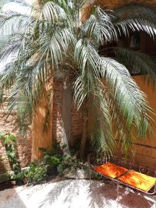 Um jardim em Zen Hotel Brasil