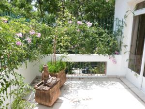 Um jardim em Zen Hotel Brasil