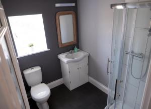 a bathroom with a toilet and a sink and a mirror at Churchend Farm Bed and Breakfast in Slimbridge