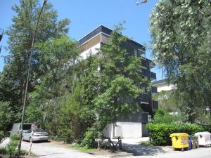 a building with a tree in front of it at Appartamento Brubelpi in Lido