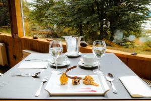 Gallery image of Hotel Lago Grey in Torres del Paine