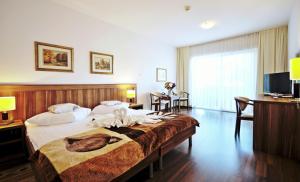科沃布熱格的住宿－Bursztyn Spa，酒店客房设有一张大床和一台电视。