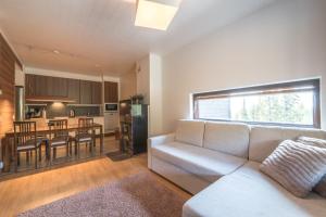 Kuchyň nebo kuchyňský kout v ubytování Villa Ylläs 301 + 12 fotografií