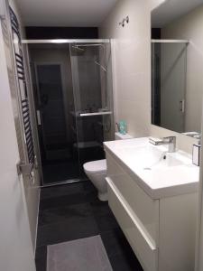 a bathroom with a shower and a sink and a toilet at Great apartment with excellent location (Calle Fuencarral/Gran Via/Chueca) in Madrid