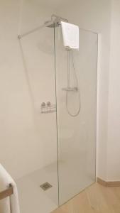 una cabina de ducha de cristal con una toalla colgada en Apartamento Palacio Azcárate Marisa Sanchez, en Ezcaray