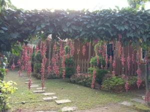 Zahrada ubytování Coorg amodhini