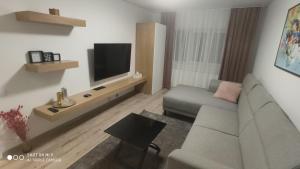 a living room with a couch and a tv at Popasu din oras in Baia Mare