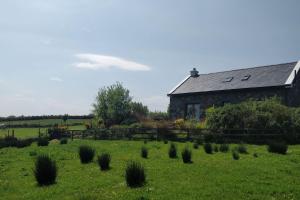 a barn in the middle of a field with plants at Groff Cottage in Toormakeady