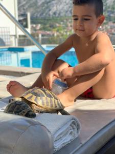 a young boy sitting next to a turtle on a boat at Dekaderon Lux Apartments in Kotor
