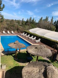 a swimming pool with two umbrellas and lounge chairs at Terrazas de Colón in Colón