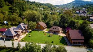 an aerial view of a village with a herd of animals on a green lawn at Casutele Din Moisei in Moisei