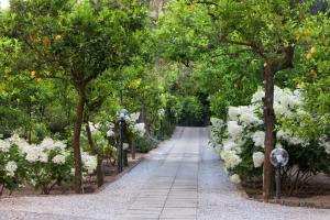 Zahrada ubytování Villa Oriana Relais