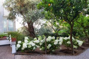 Zahrada ubytování Villa Oriana Relais