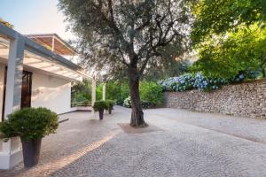Zahrada ubytování Villa Oriana Relais