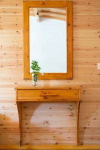 a small plant sitting on a wooden table under a mirror at Nashos Bungalows in (( Spile ))