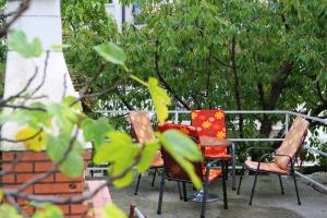 Zahrada ubytování Apartment Rosa