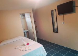 TV a/nebo společenská místnost v ubytování Habitación Privada - Apartamentos Morpho CR