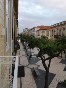 eine Stadtstraße mit einem Baum und Gebäuden in der Unterkunft Botica Guesthouse in Espinho