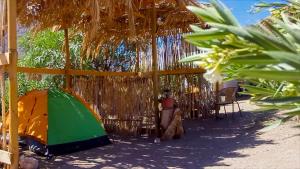 Zahrada ubytování Astro Camping Elqui Experience