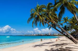 a beach with palm trees and people on it at Wanderlust Hostel in Maceió