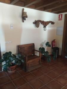 a room with a chair and some plants on a wall at Entre las Piedras y musgo in Muñopepe