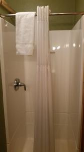 ein Bad mit einer Dusche mit einem weißen Duschvorhang in der Unterkunft High Country Motel and Cabins in Cooke City