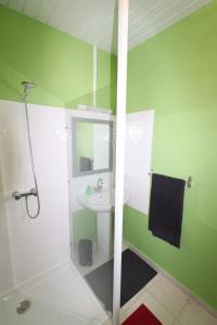 baño verde y blanco con lavabo y ducha en Le Studio Laetitia, en Cayenne