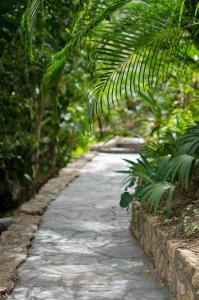 un camino de piedra en un parque con palmeras en Hotel Vista de Olas, en Santa Teresa Beach