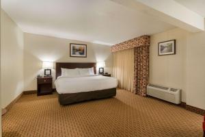 a hotel room with a bed and a dresser at Clarion Hotel Convention Center in Minot