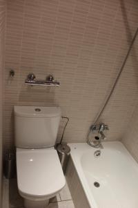 a bathroom with a toilet and a bath tub at Duplex para 4 en Cercs, Berga- A 30 mins del Pedraforca in Sant Corneli de Cercs  +4 photos