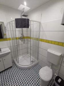 a bathroom with a shower and a toilet and a sink at Mickey's Chain Bridge Apartments in Budapest