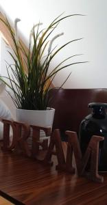 una pianta in vaso seduta sopra un tavolo di legno di Théière & Couverts - Les Chambres a Cernay