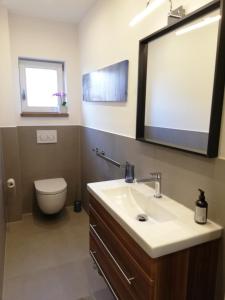 a bathroom with a sink and a toilet and a mirror at Ferienwohnung Laurin in Garmisch-Partenkirchen