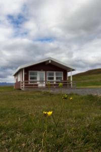 a small house in the middle of a field at Guesthouse Brekka in Brekka