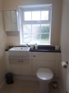 baño con aseo y lavabo y ventana en Berry House Bed & Breakfast, en Littlehampton