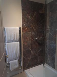 a bathroom with a shower and a towel rack at Berry House Bed & Breakfast in Littlehampton