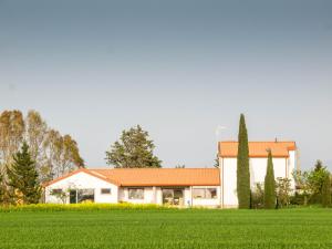 a house with an orange roof and a green field at Podere684 in Grosseto