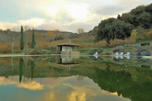 a pond with a gazebo and white chairs at Agriturismo Il Daino in San Piero Patti
