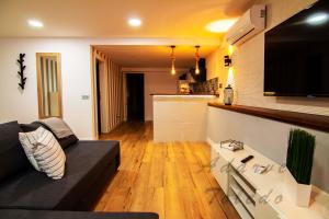 a living room with a couch and a television at Apartamentos Adarve Toledo in Toledo