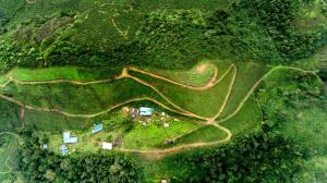 an aerial view of a house in the middle of a field at Camelot Resort in Munnar