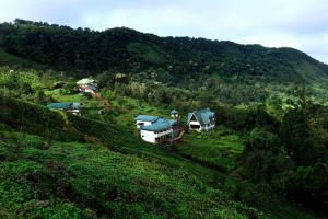 a group of houses on the side of a hill at Camelot Resort in Munnar