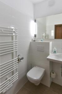 a white bathroom with a toilet and a sink at Hotel garni Siebenstern in Bischofsgrün