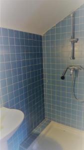 baño de azulejos azules con ducha y aseo en Rifugio nel castello, en Castellar