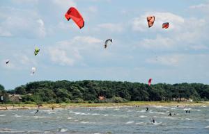 un grupo de personas volando cometas en una playa en Haus Friedenswinkel, en Thiessow