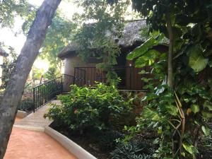 Gallery image of The Pickled Onion Eco-Boutique B&B in Santa Elena